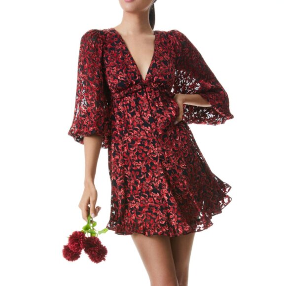 Alice + Olivia 'Briar Upstate Scroll' Burnout Mini-Dress, Deep Ruby - Picture 2 of 5